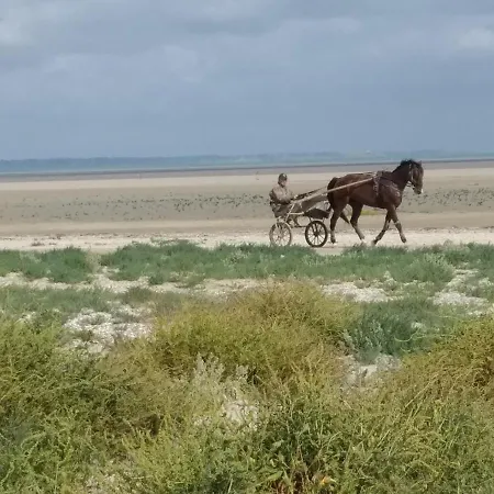 House Between Cancale And Mont Saint-michel Дом отдыха Ле-Вивье-сюр-Мер